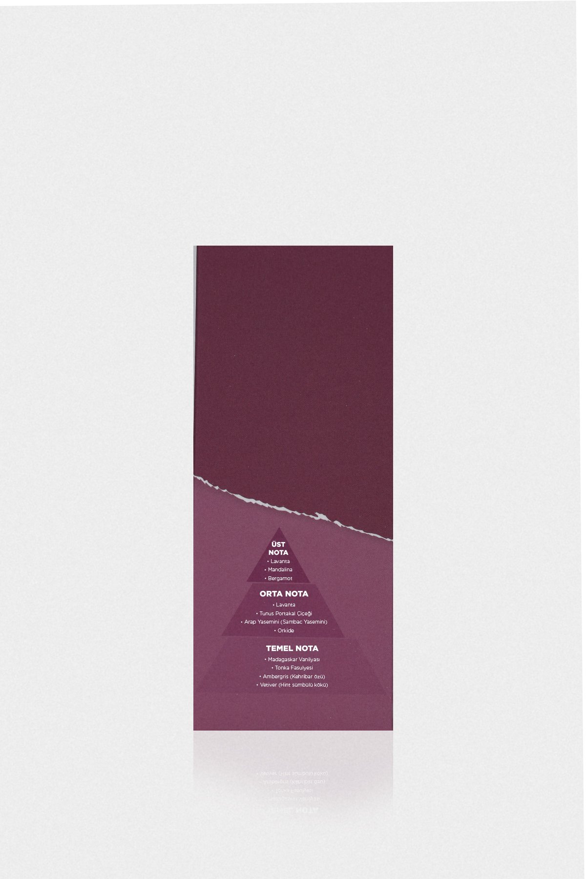Lavınya Women's Perfume Standard - LUFIAN