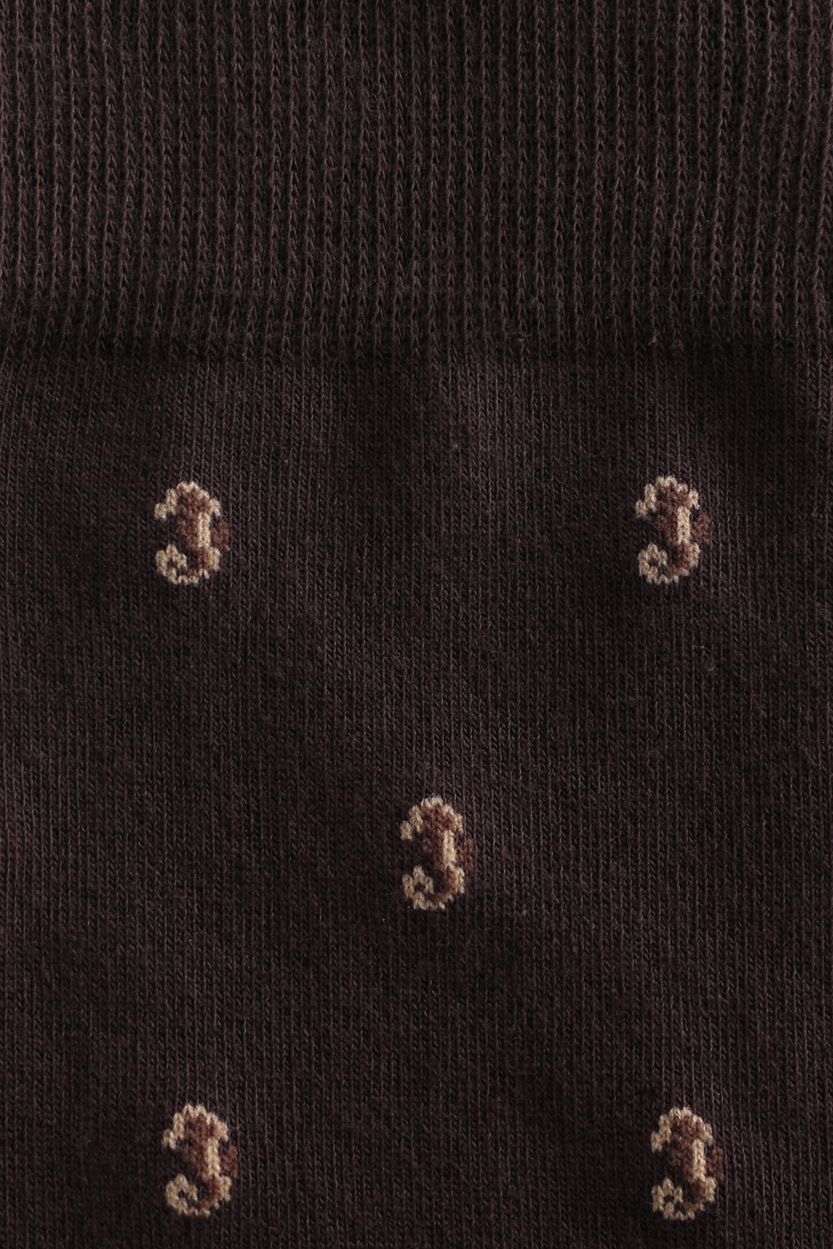 Mens Socks Brown - Lufian (1)