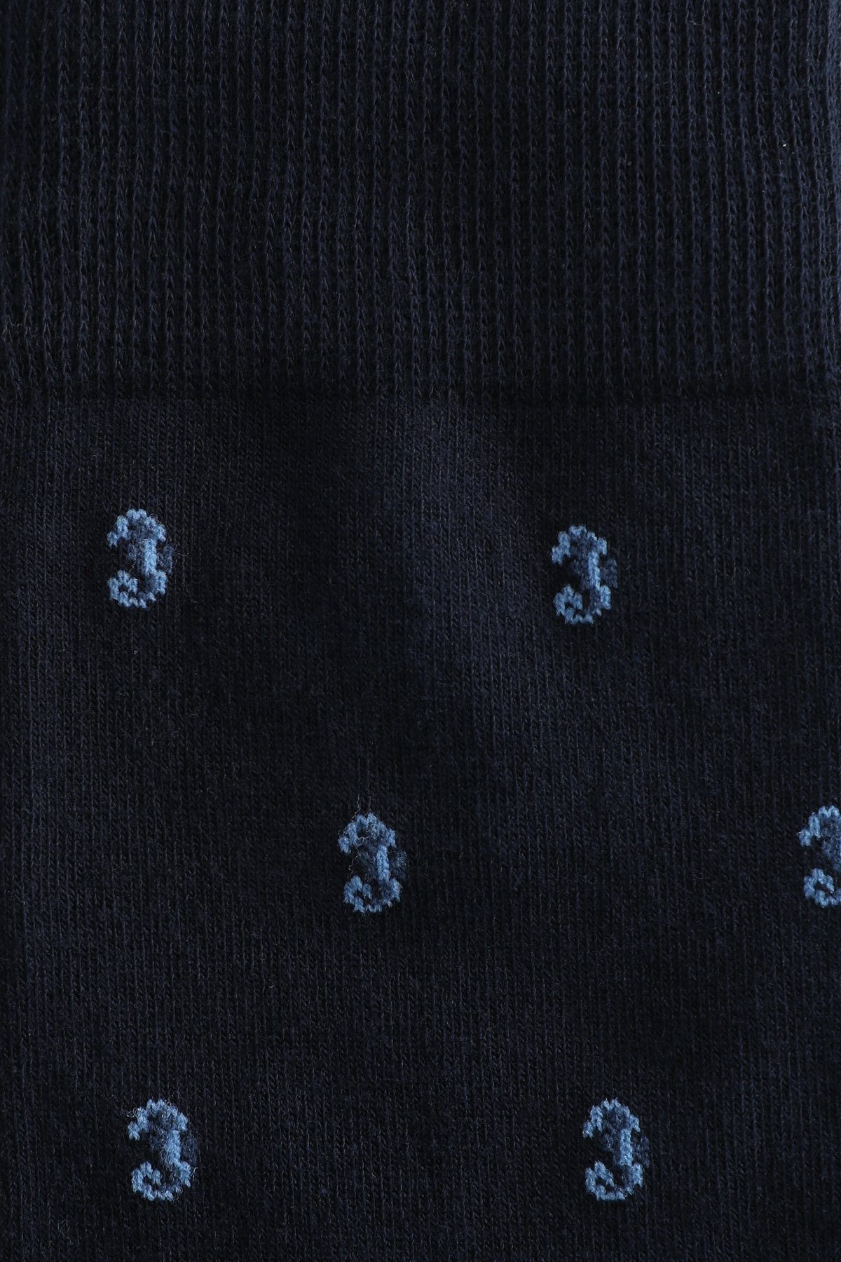 Mens Socks Navy - Lufian (1)